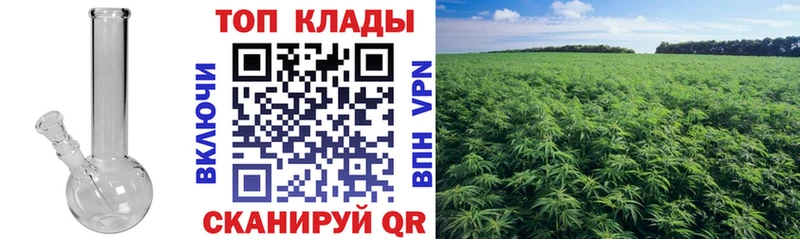 Все наркотики Новоалександровск Alpha-PVP блэк спрут tor АМФЕТАМИН Мефедрон Гашиш Кокаин Конопля