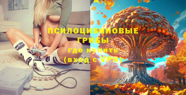 молекула духа Абинск