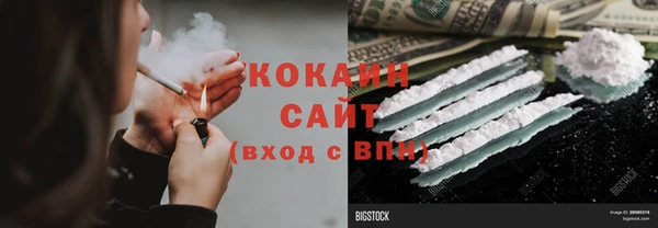 соль ск Новодвинск