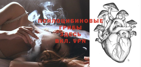 соль ск Новодвинск
