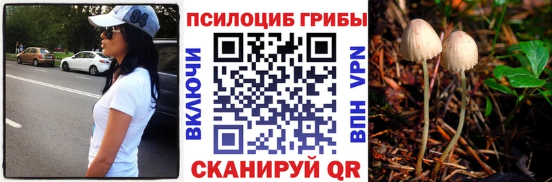 цены   Новоалександровск  площадка Telegram  Галлюциногенные грибы мицелий 